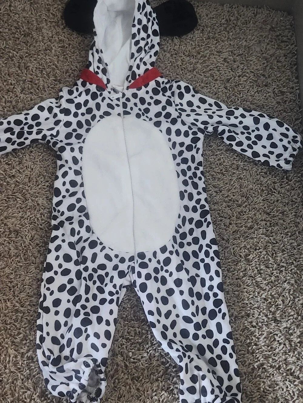 Dqlmation Costume